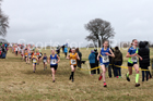 Girls under-13s, 2018 Northern Cross Country Champs., Harewood House, Leeds. Photo: David T. Hewitson/Sports for All Pics